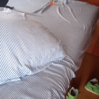GIF by andymilonakis