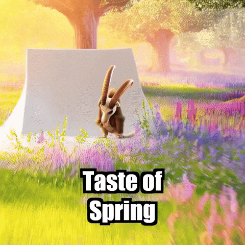 GIF by Radiantelope