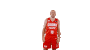 Liga Endesa Basketball Sticker by ACB