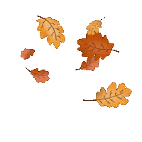 Fall Season Sticker