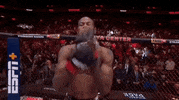 Mixed Martial Arts Sport GIF by UFC