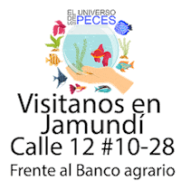 Happy Valle Del Cauca Sticker by eluniversodelospeces