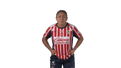 Liga Mx Futbol Sticker by Chivas Oficial