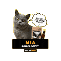 Dried Meat Cat Sticker by Sztosy.co