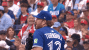 Blue Jays Baseball GIF by Toronto Blue Jays