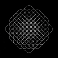 Art Loop GIF by tracheotommy