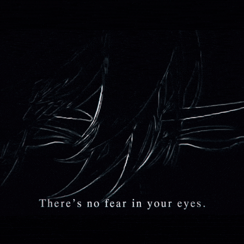 Close Up Eyes GIF