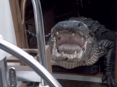 miamivice giphyupload 80s hungry lunch GIF