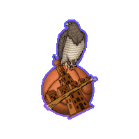 VistahermosaCF eagles eagle blues aguilas Sticker