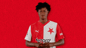 Football Heart GIF by SK Slavia Praha