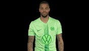 Germany No GIF by VfL Wolfsburg