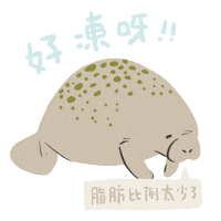 Wildlife Manatee Sticker