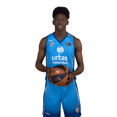 Liga Endesa Sport Sticker by ACB