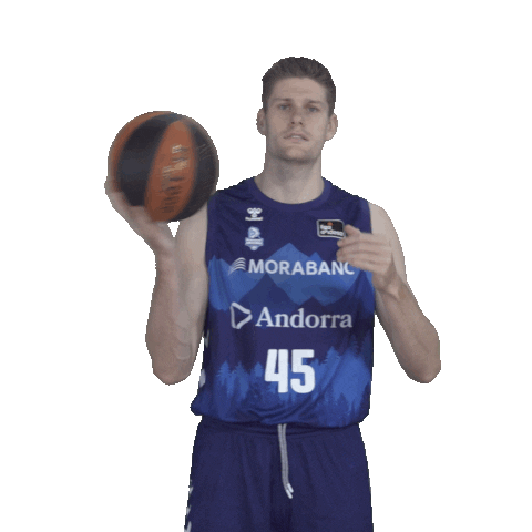 Liga Endesa Sport Sticker by ACB