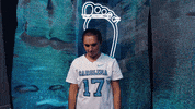 Look Up North Carolina GIF by UNC Tar Heels