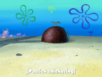 season 7 GIF by SpongeBob SquarePants