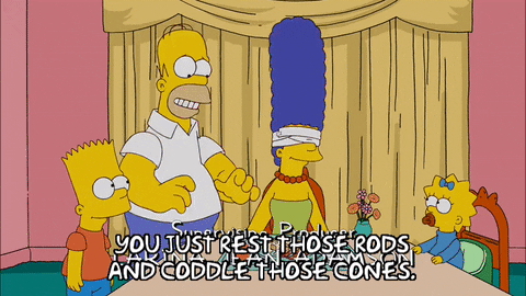 homer simpson episode 13 GIF