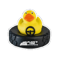 Car Duck Sticker by Blacks Tire and Auto