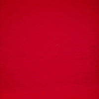 Bryn Gerlich GIF by Texas Tech Women's Basketball