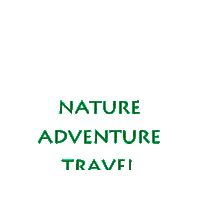 treetribe trees treetribe tree tribe Sticker