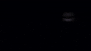 Yelling Last Word GIF by Baroness