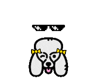 charlotte poodle Sticker by Meu Cantinho de Estudos