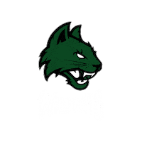 Basket Fip Sticker by Wildcats Basketball Motta