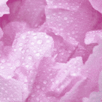 Birthday Cake GIF by TeaCosyFolk