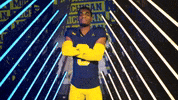 Go Blue Michigan Football GIF by Michigan Athletics