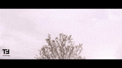 Video Cinema GIF by TheFactory.video