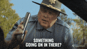 LegalShield caught guilty whatsup whatnow GIF