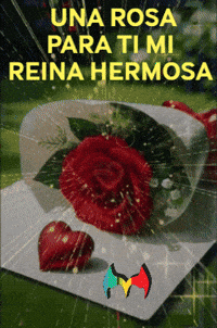 Para Ti Amigos GIF by Murcianys LLC