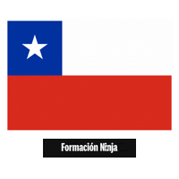Flag Pixel Art Sticker by Formación Ninja