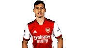 Celebrate London Sticker by Arsenal