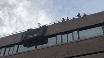 Princeton halloween pumpkin smash physics GIF