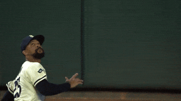 Minnesota Twins Sport GIF by MLB