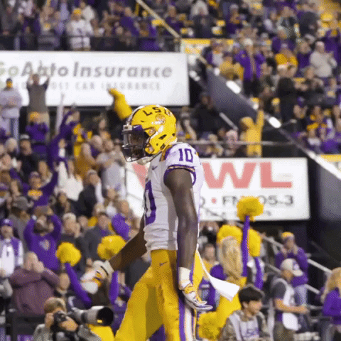 College Sports Sport GIF by LSU Tigers