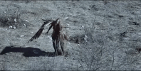 music video guy GIF by Lady Gaga