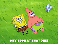 season 8 episode 10 GIF by SpongeBob SquarePants