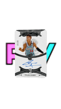 Miami Heat Basketball Sticker by Pullwax