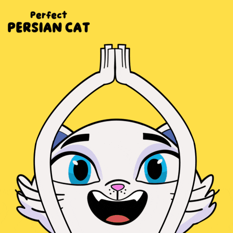 Persian Cat Applause GIF by VeeFriends
