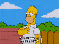 homer simpson GIF