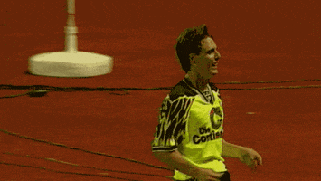 bundesliga povlsen GIF by Borussia Dortmund