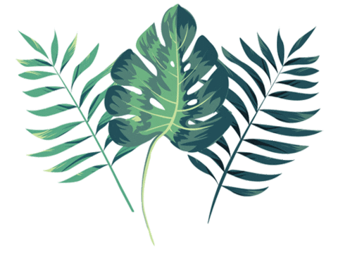 Leaf Jungle Sticker by steueraffe