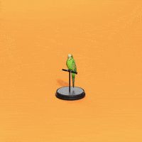 GIF by michaelmarczewski