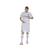 Logo Sticker by FC Slovan Liberec