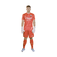 Hugo Sticker by FC Slovan Liberec