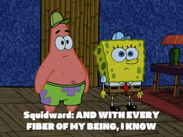 season 5 to love a patty GIF by SpongeBob SquarePants