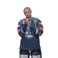 Hockey Applause Sticker by HC Škoda Plzeň