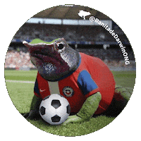 Alexis Sanchez Seleccion Chilena Sticker by Ranita de Darwin ONG